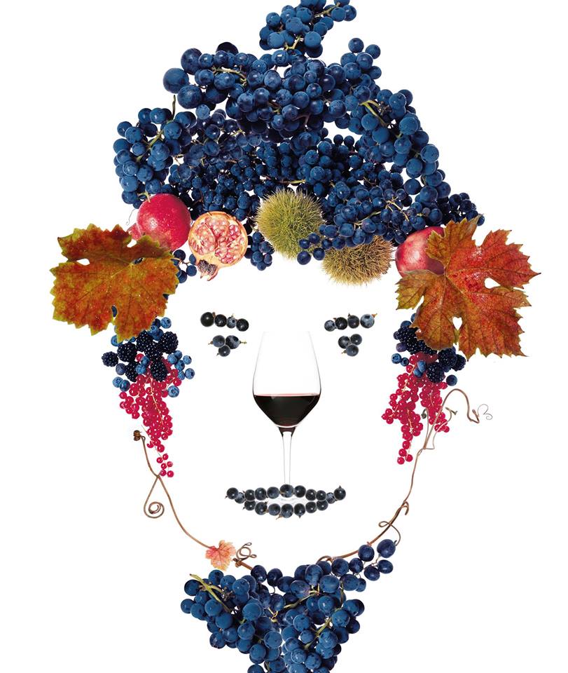 anteprima vini della costa toscana