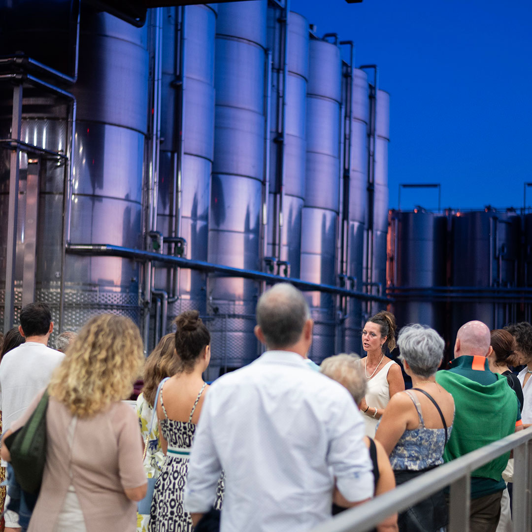 0050-ABM-ABM_1685 persone che partecipano a una visita della cantina