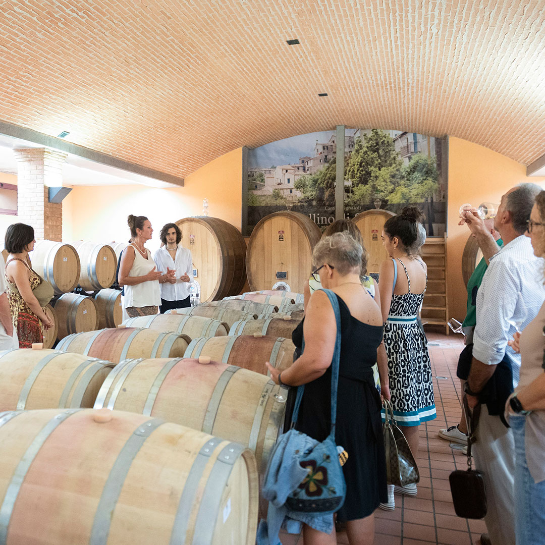 0057-ABM-AMA_3375 persone che partecipano a una visita della bottaia