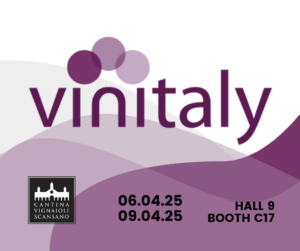 coordinate della cantina al vinitaly